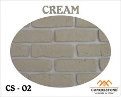 CS-02 CREAM