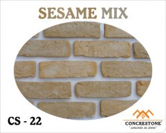 CS-21 SESAME MX